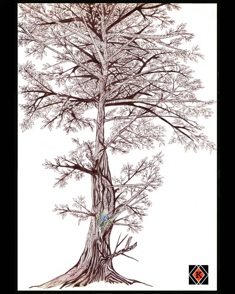 Baum