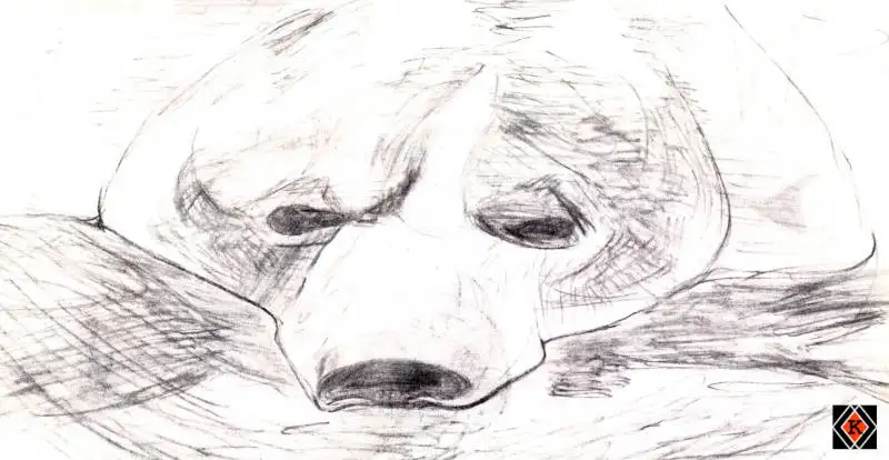 Eisbär