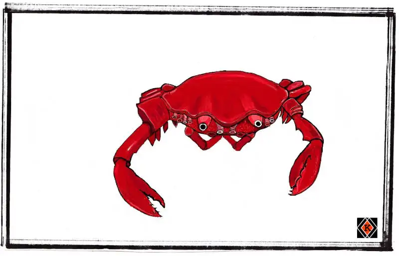 Krabby