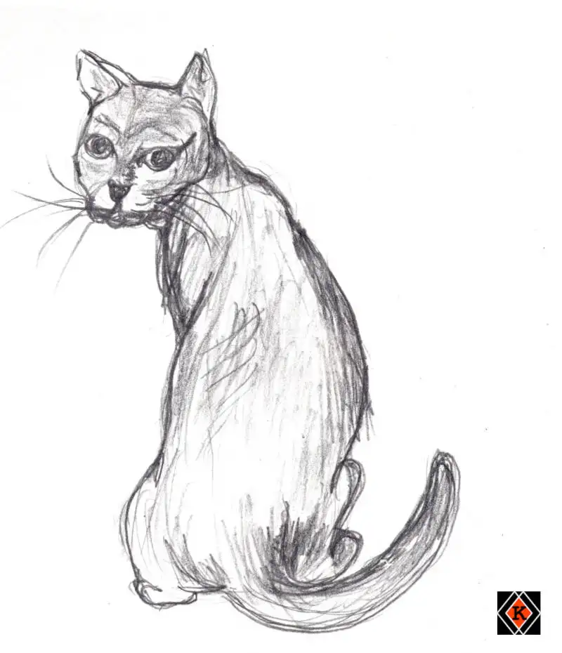 Miau 01