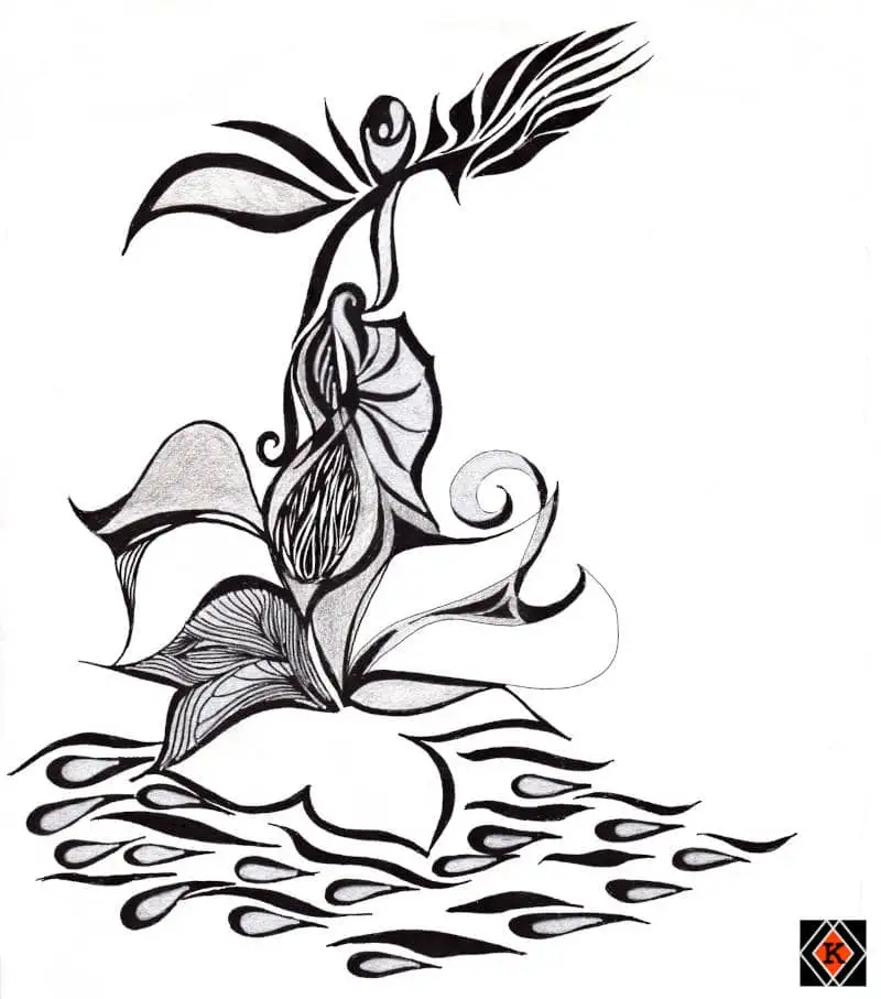 My Art